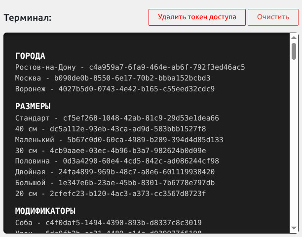 Информационная панель «Терминал»
